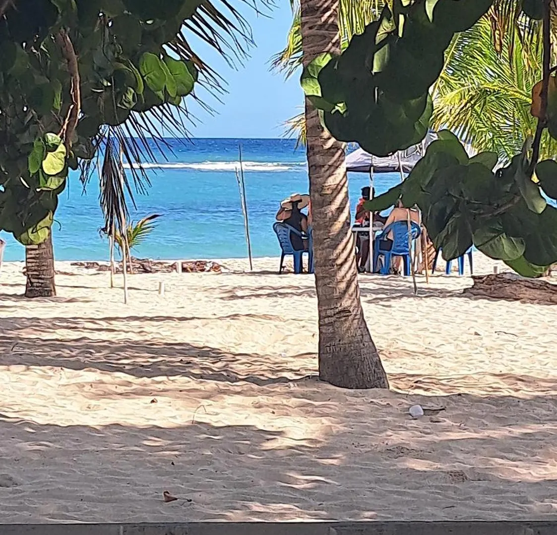 Lejlighed Beautiful Turquoise Water Just For You! Juan Dolio